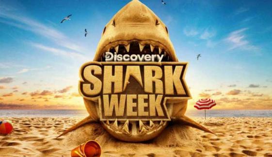 Shark Week 2026: Where to watch, stream and what’s new this year