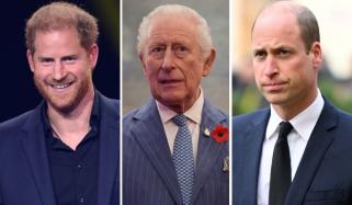 Prince Harry plans to tug at Charles’ heartstrings as King ‘irritated’ with William