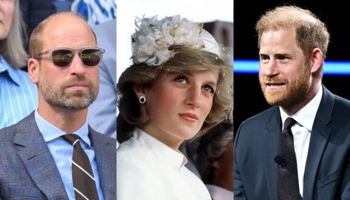 William, Harry ending feud? Brothers may reunite for surprise Princess Diana tribute