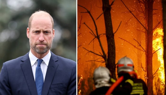 Prince William issues ‘stark reminder’ as devastating wildfires ravage UK, Europe