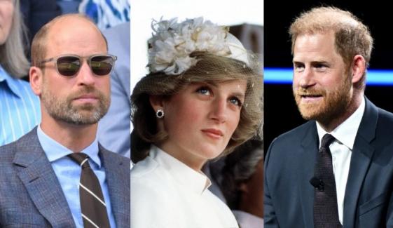 William, Harry ending feud? Brothers may reunite for surprise Princess Diana tribute