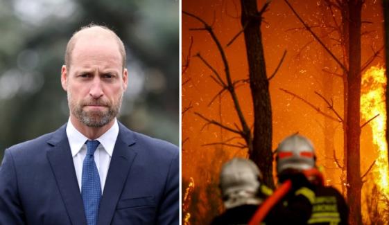 Prince William issues ‘stark reminder’ as devastating wildfires ravage UK, Europe