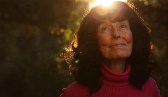 Linda Perhacs reported missing: 70s folk singer's pals plead for public help 