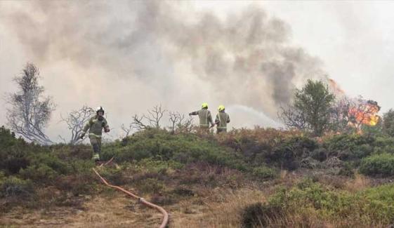Massive Suffolk wildfire prompts major emergency response
