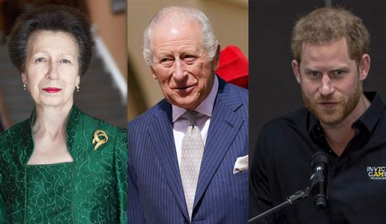 Princess Anne turns to King Charles as Prince Harry ‘wipes her efforts off’