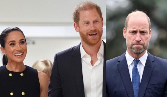 Prince Harry, Meghan Markle's secret plan revealed amid Prince William reunion rumours