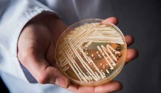 CDC warns of drug-resistant Candida auris spreading across 23 US states