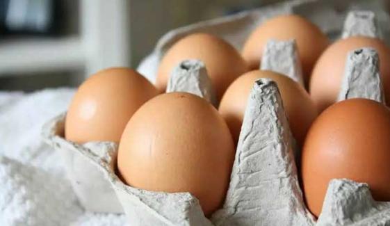 Salmonella outbreak in UK: Symptoms, causes, treatment and prevention