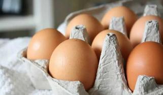 Salmonella outbreak in UK: Symptoms, causes, treatment and prevention