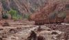 Grand Canyon flooding: 15 hikers feared missing, dozens evacuated 