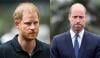 Prince Harry kicks off work on 'secret project' in UK that could infuriate William
