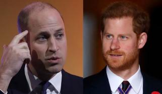Prince William harshly ‘responds’ after Harry gathers Diana’s personal info