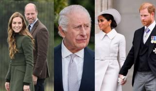 Kensington Palace reveals William's mission after King Charles clarifies Harry, Meghan's status