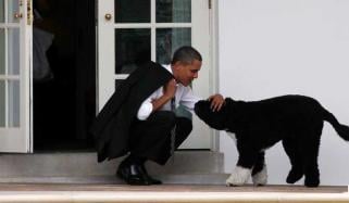 Barack Obama mourns loss of ‘cherished’ family dog Sunny