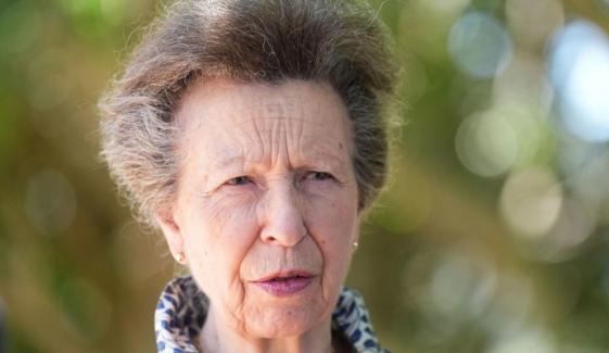 Princess Anne steps out for key rescue charity amid King Charles' memoir troubles 