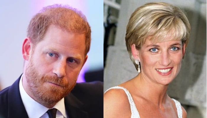 Prince Harry eyes major Diana project amid Earl Spencer’s explosive new memoir