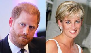 Prince Harry eyes major Diana project amid Earl Spencer’s explosive new memoir
