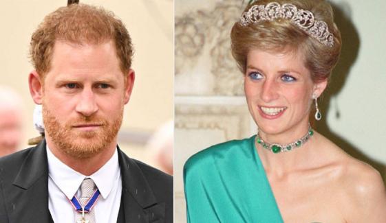 Princess Diana's family opposes Prince Harry’s risky move: 'understand the consequences'