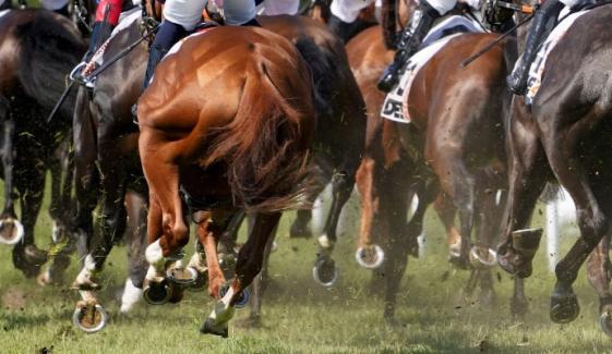 Racehorse renamed after Hitler-reference complaint: New name revealed