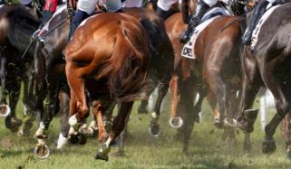 Racehorse renamed after Hitler-reference complaint: New name revealed