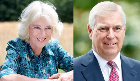 Queen Camilla ready to form ‘alliance’ with Andrew: ‘for the sake of…’