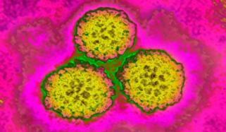 12% of new cancer cases linked to infections, WHO cancer agency reports