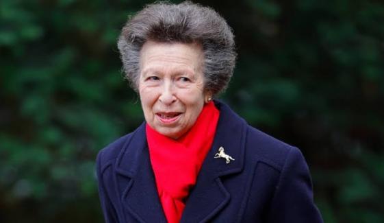 Princess Anne marks centenary of historic guards memorial with poignant tribute