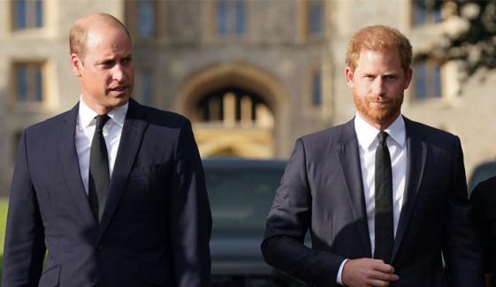Prince William receives stark warning regarding Prince Harry: 'it’s very plausible...'