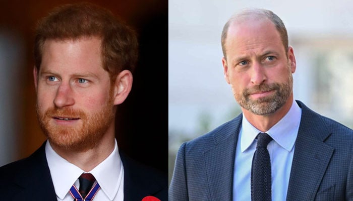 Prince Harry finally declares reconciliation with William 'the most important thing'