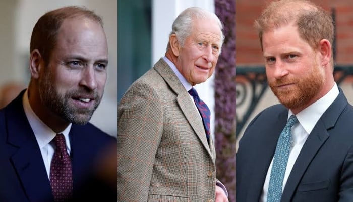Buckingham Palace issues 'welcoming' update after Harry's first olive branch to William
