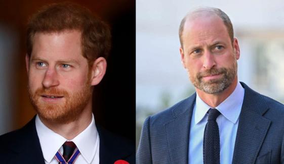 Prince Harry finally declares reconciliation with William 'the most important thing'
