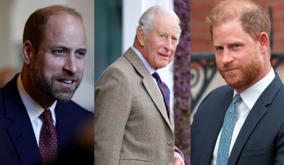 Buckingham Palace issues 'welcoming' update after Harry's first olive branch to William