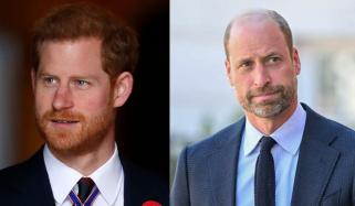 Prince Harry finally declares reconciliation with William 'the most important thing'