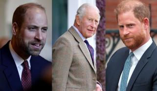 Buckingham Palace issues 'welcoming' update after Harry's first olive branch to William
