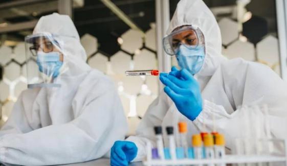 Shamonda virus: Symptoms, risks after first human case reported in France