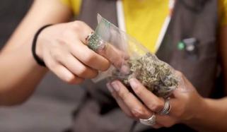 Detroit woman’s devastating health battle linked to underage Cannabis use