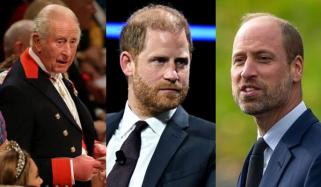 King Charles pulls royal family members into Prince William, Harry feud