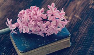 ظفر اکبر آبادی کی غزل