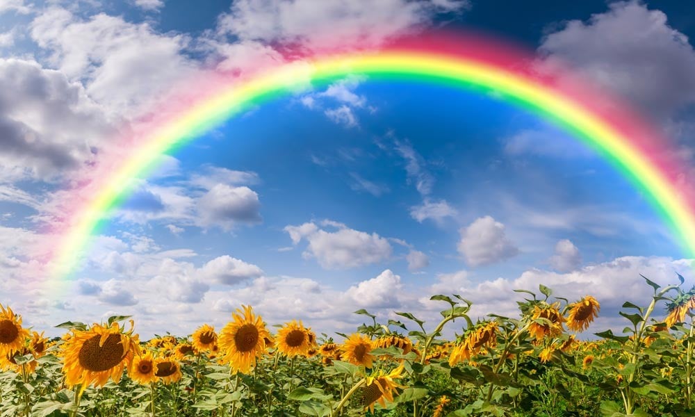 Радуга. Радуга из земли. Радужная ностальгия. Галина grace rainbow. Радуга связь.