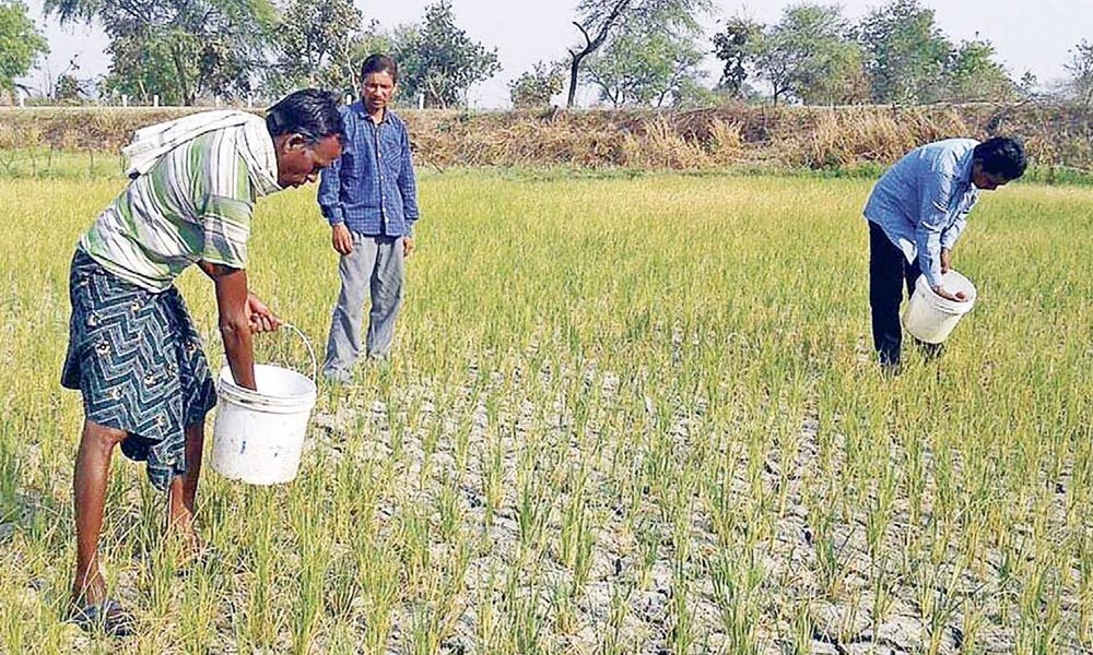 ناقص پالیسیوں کے باعث کسان اور زراعت بد حال