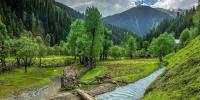 فلم پاکستان کی سیاحت کے لئے سفیر کا فریضہ انجام دے سکتی ہے