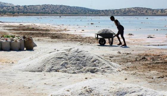 ’’اچھڑوتھر‘‘ جہاں جنگلی حیات کا ایک پورا جہاں بسا ہواہے