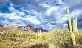 بادلوں کی اقسام اور شناخت