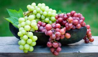 Grapes May Boost Health