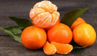 Winter Fruit Orange