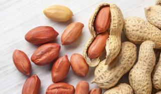 Peanuts