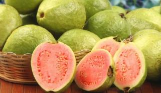 Guava