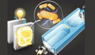 Power Produce Battery From Bacteria