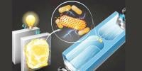 Power Produce Battery From Bacteria