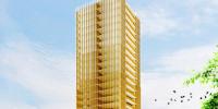 Skyscraper Building Of Wood